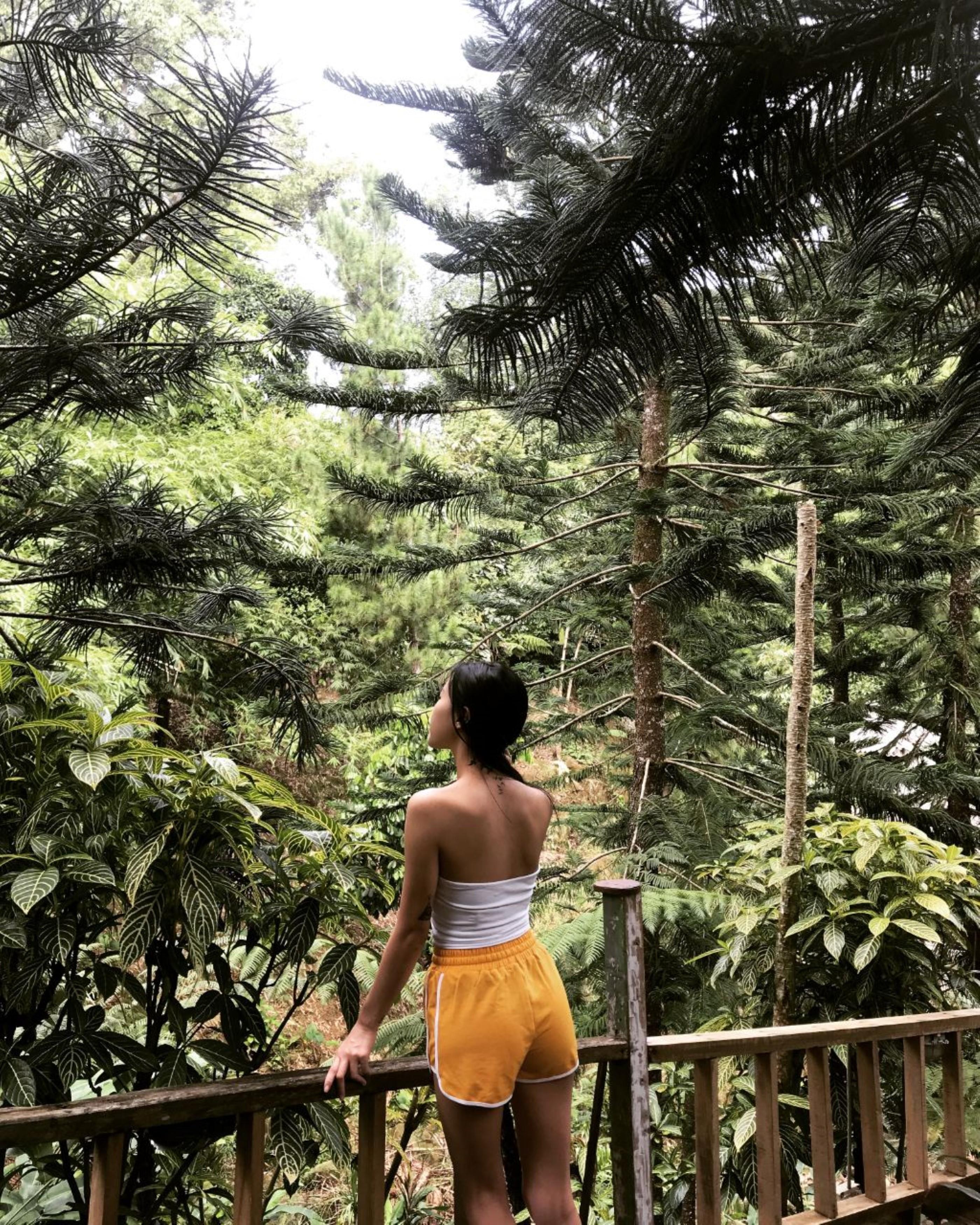 Fig Tree Hills Resort Bayan Lepas Esterno foto