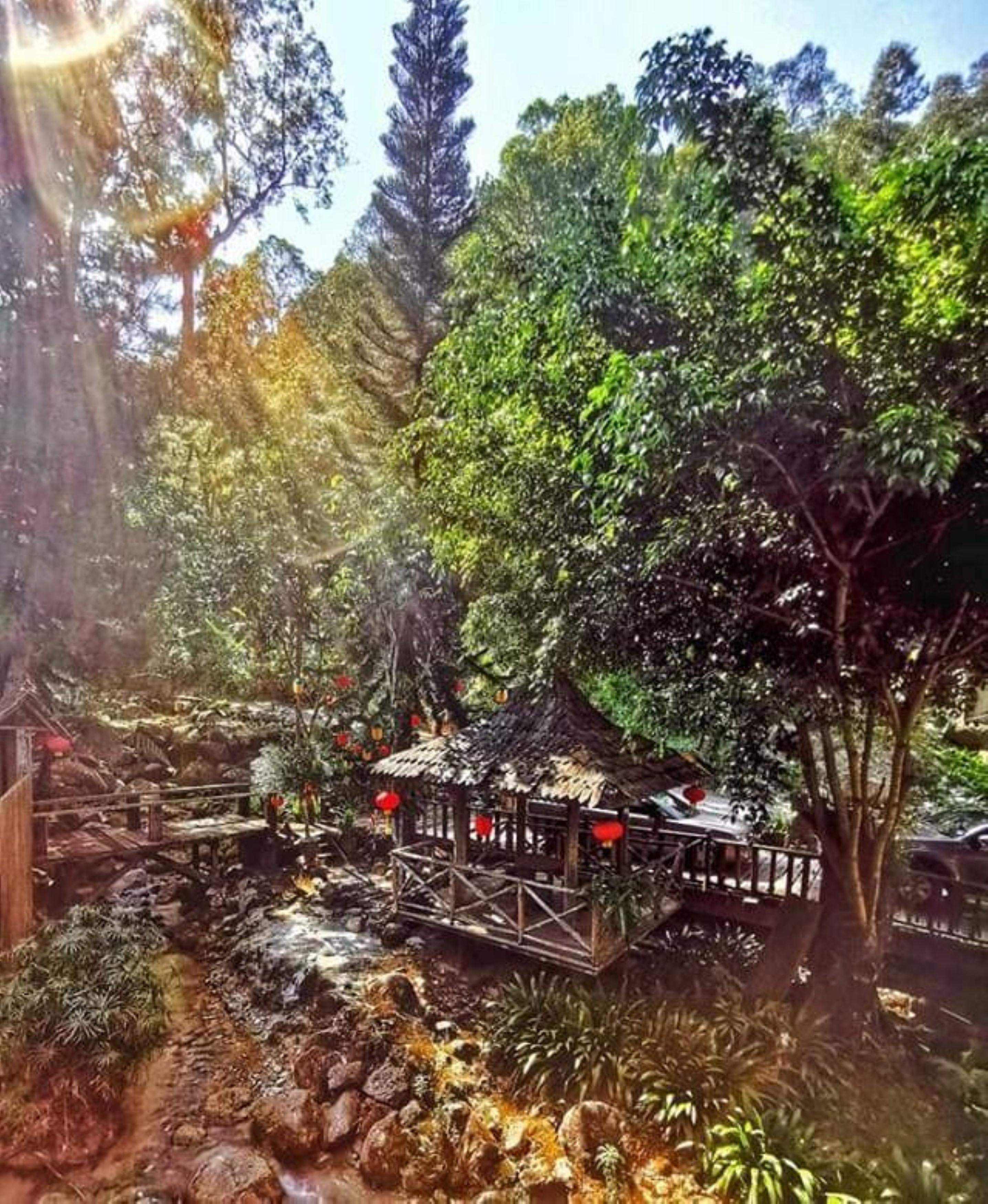 Fig Tree Hills Resort Bayan Lepas Esterno foto
