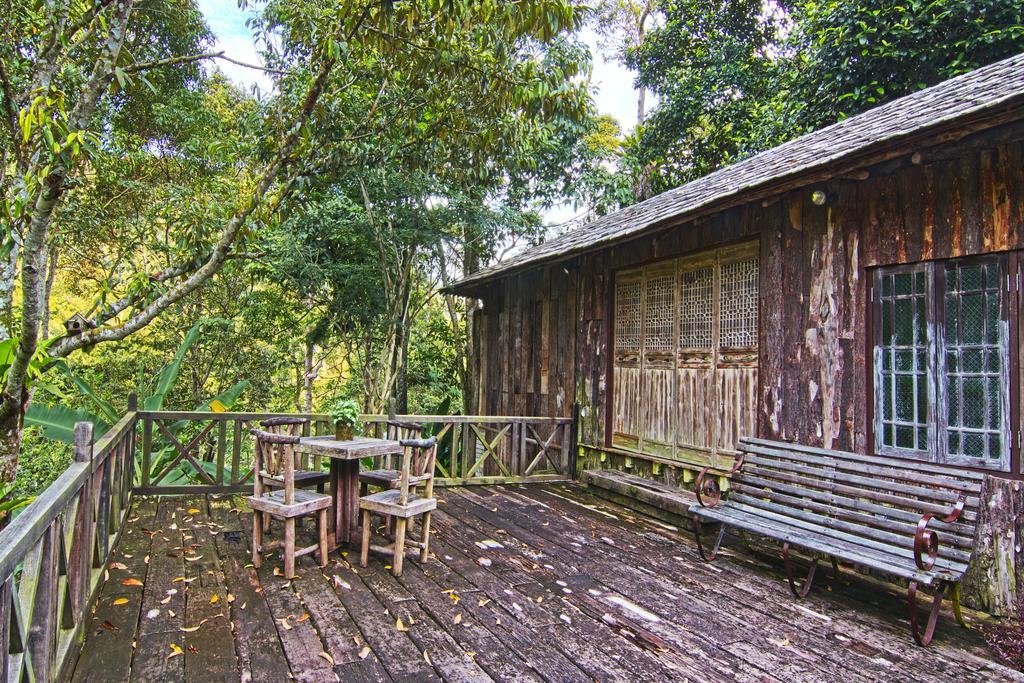 Fig Tree Hills Resort Bayan Lepas Esterno foto