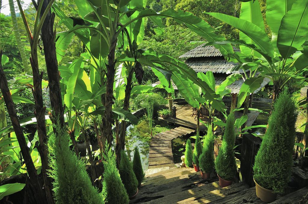 Fig Tree Hills Resort Bayan Lepas Esterno foto