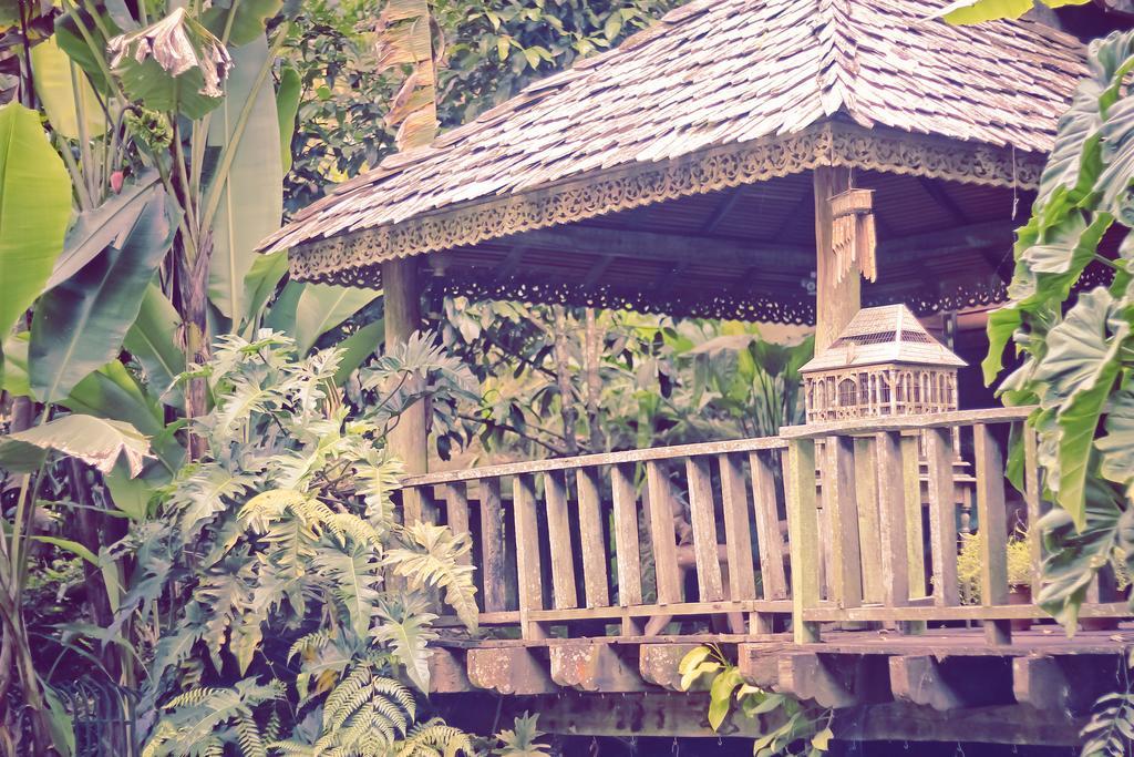 Fig Tree Hills Resort Bayan Lepas Esterno foto